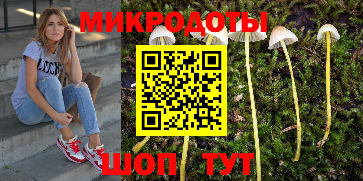 Псилоцибиновые грибы Psilocybine cubensis  что такое   Татарск  Псилоцибиновые грибы MAGIC MUSHROOMS  Вход с VPN 