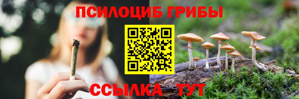 Псилоцибиновые грибы MAGIC MUSHROOMS Татарск